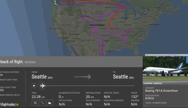 Boeing-787-8-Dreamliner-desenat-zbor