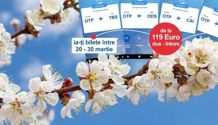 oferte-infloritoare-tarom-martie-2019