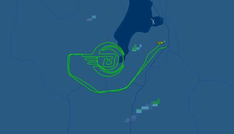 besttugs-desenat-in-zbor