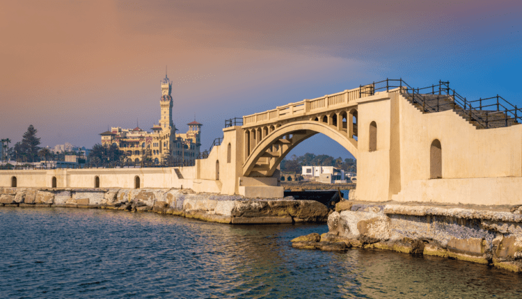alexandria-milano-wizz-air