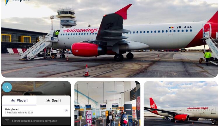 zboruri-charter-timisoara