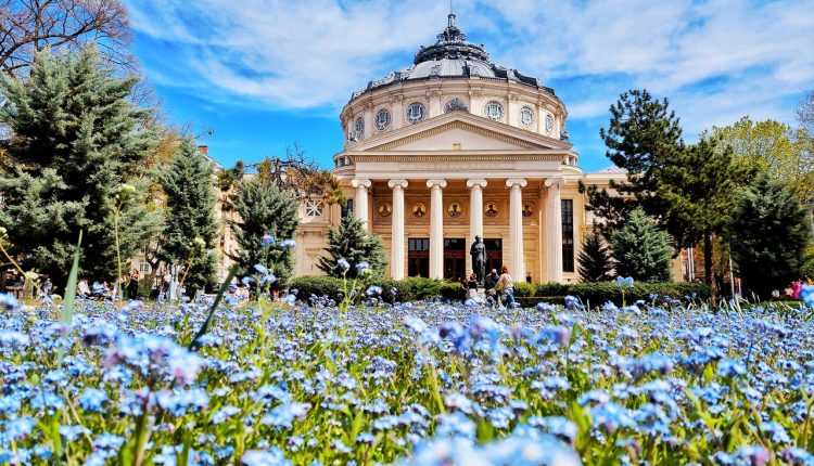 ateneul-roman-marca-patrimoniului-european