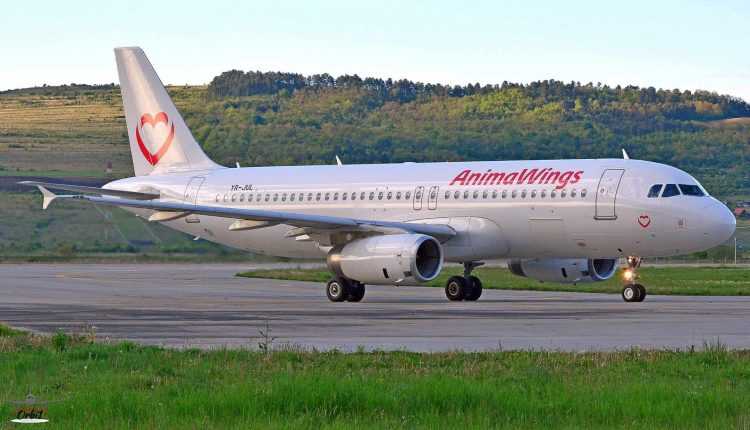 animawings-bucuresti-larnaca-paris